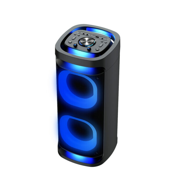 T6215 Speaker